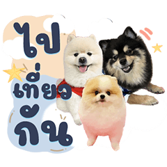 three puppies 1