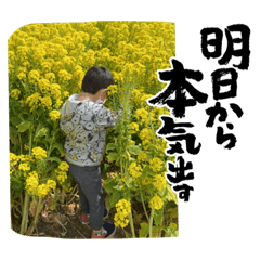 kana_20230302002212