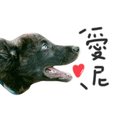 Many shapes of TanG 2 – LINE stickers | LINE STORE