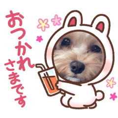 kana_20230302015053