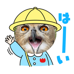 Eurasian Eagle Owl Gil