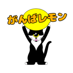 nyankuro_20230301221827