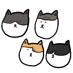 四隻貓咪的生活日常