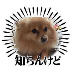 kAnA_20230303023227