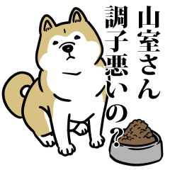 山室リスペクト（プラチナ）