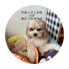 Hana_20230302152814