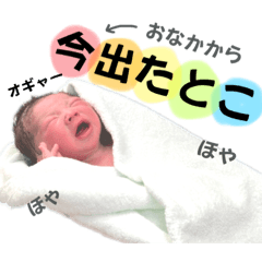 misa_20230302172159