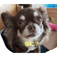 miyuu_20230302194029