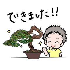 Tree House Bonsai