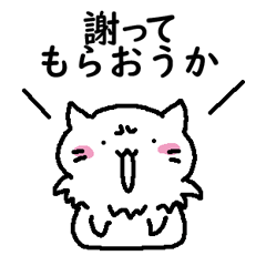 OKOOKO CAT
