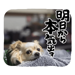 tomomi_20230302200706