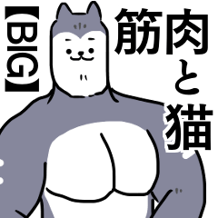 【BIG】筋肉と猫。①『使える基本の筋肉』
