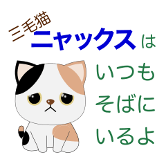 The sticker of cute calico cat NYAX