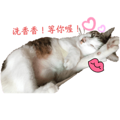巧東不好過