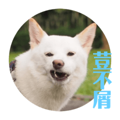 荳荳貼圖第三彈-荳語錄