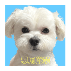 Omochi_20230302225648