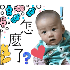 阿毛毛叫毛哥哥