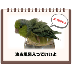 natsumi_20230303125640