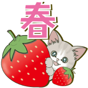 Kitten flying sticker 11