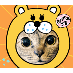 Aoi_20230303141201