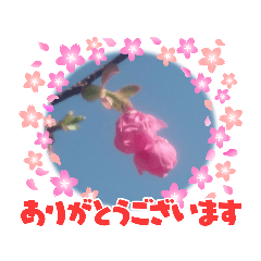2023/3/3