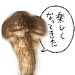 I have a mushroom3