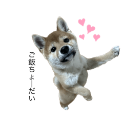 HANA_20230303160539