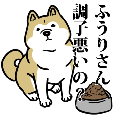 ふうりリスペクト（プラチナ）