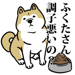 ふくたリスペクト（プラチナ）