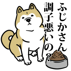 ふじかリスペクト（プラチナ）
