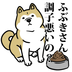 ふぶきリスペクト（プラチナ）