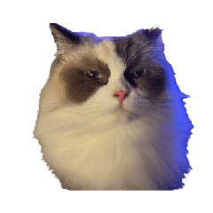 Alpha&Koala諧星團體