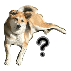 mizuki_20230303205649