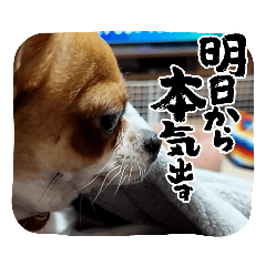 yuki..2