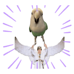 kana_20230303201803