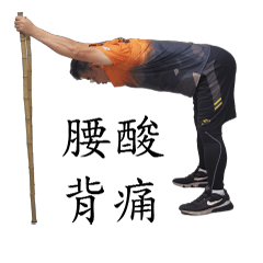 poles exercise for backache
