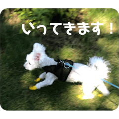 BB_20230303231539