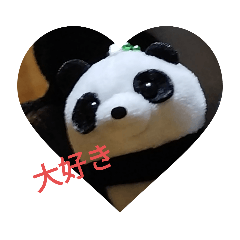 panda_20230303202225