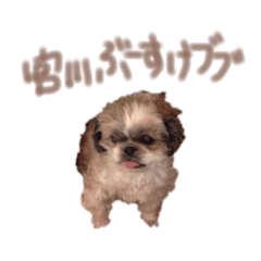 Bubumykw