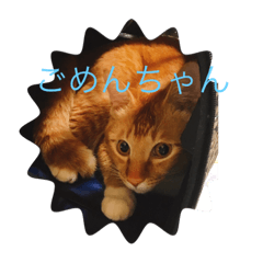nao_20230304130456