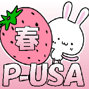 p-usa-Sticker