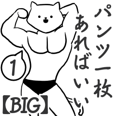 [BIG] Muscle white cat 1