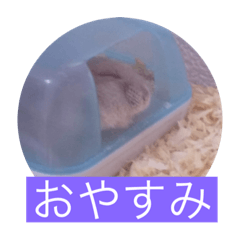 omochi_20230304175553