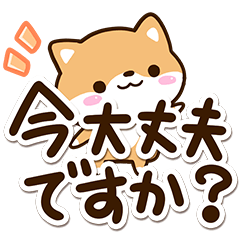 Sticker of Cute Shiba28