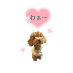 koyumugi_20230304173529