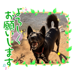 あいさつ・気持ちスタンプ
