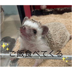 KOTO_20230304234050
