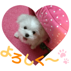 Yukari_20230304205355