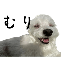 BB_20230305004744