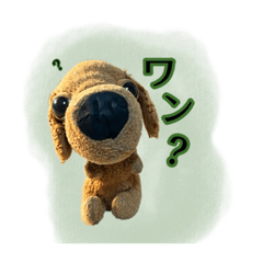 Hana_20230302204727